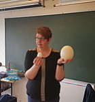 Hvað er í kassanum?