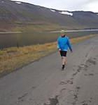 Norræna skólahlaupið 2016