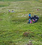 Útiþema að hausti