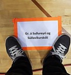 Úrslit skólahreystis 2018