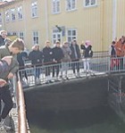 Úrslit skólahreystis 2018