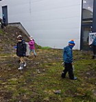Vorhreinsun 2018